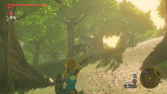 The Legend of Zelda: Breath of the Wild screenshot