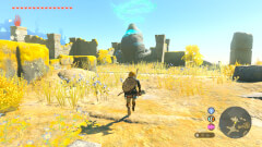 The Legend of Zelda: Tears of the Kingdom screenshot