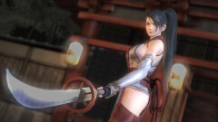 Ninja Gaiden: Master Collection screenshot